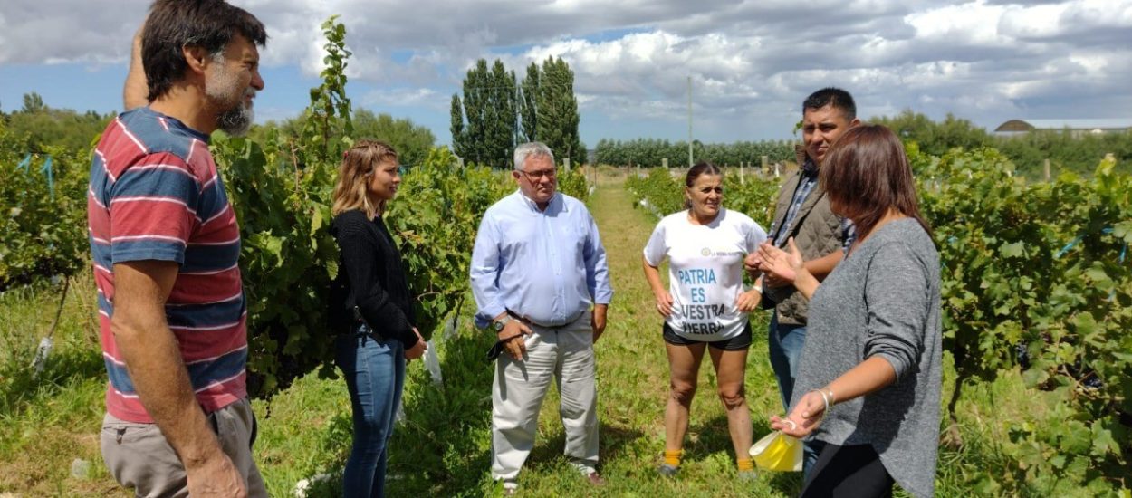 PROVINCIA PARTICIPÓ DE UNA JORNADA REALIZADA POR LA COOPERATIVA UVA