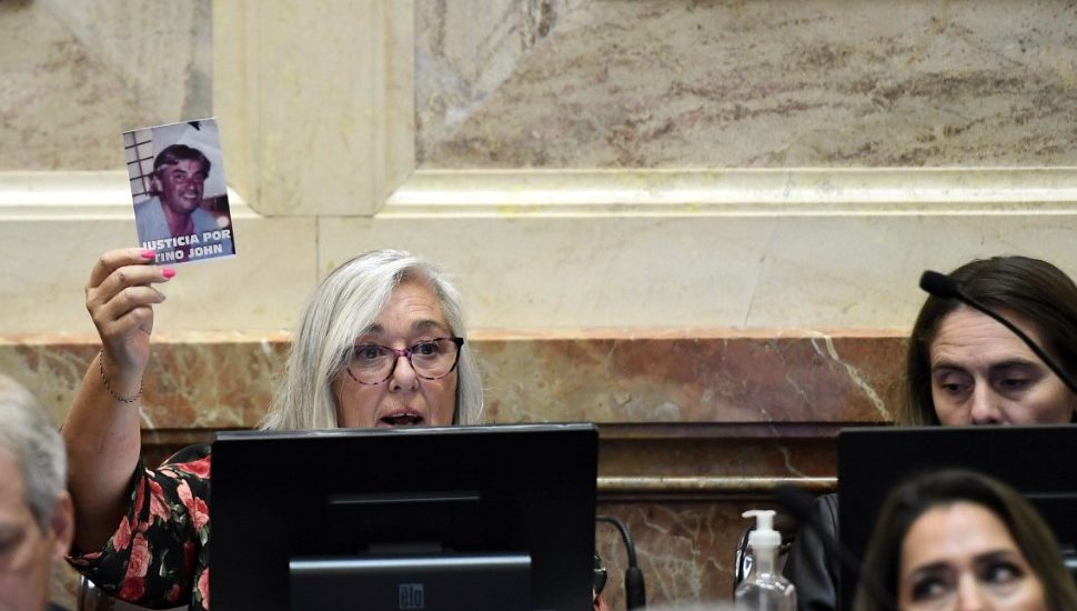 LA SENADORA TERENZI INSISTE EN QUE SE INVESTIGUE LA MUERTE DE “TINO JOHN”
