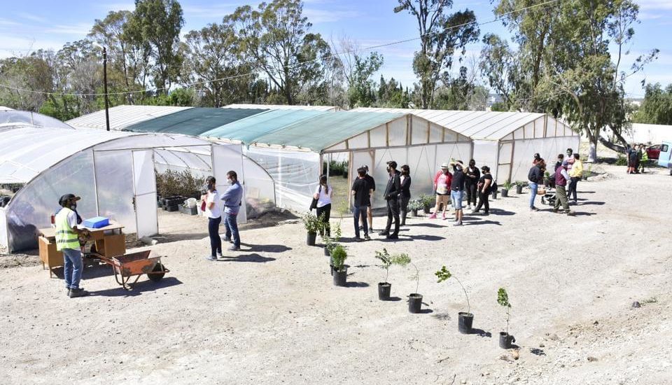 EL VIVERO MUNICIPAL ABRIRÁ SUS PUERTAS AL PÚBLICO