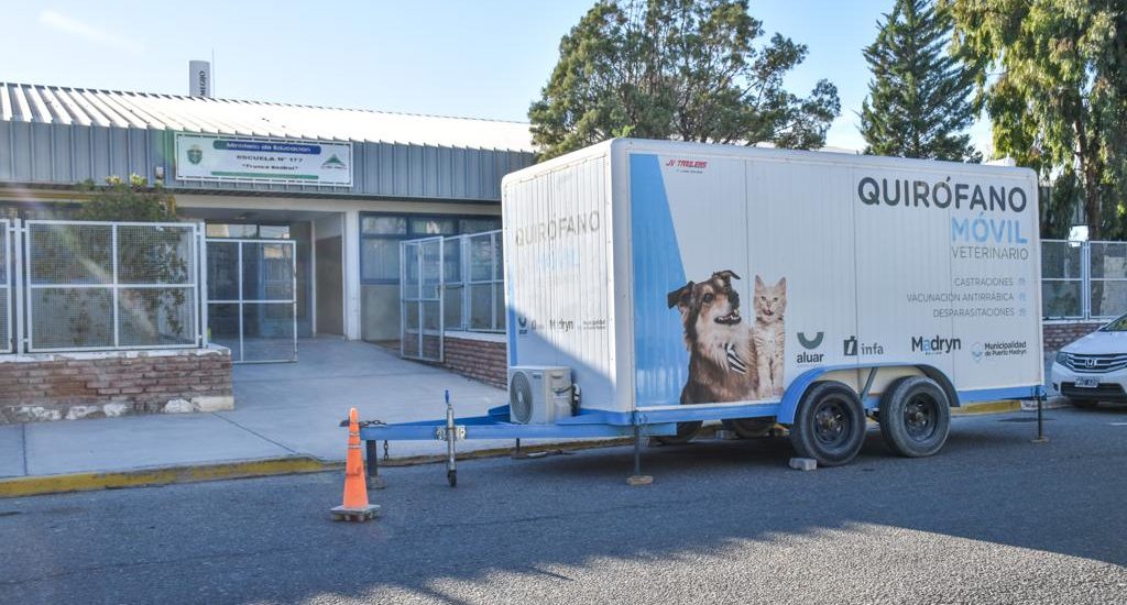 CONTINÚAN LAS CAMPAÑAS GRATUITAS PARA MASCOTAS