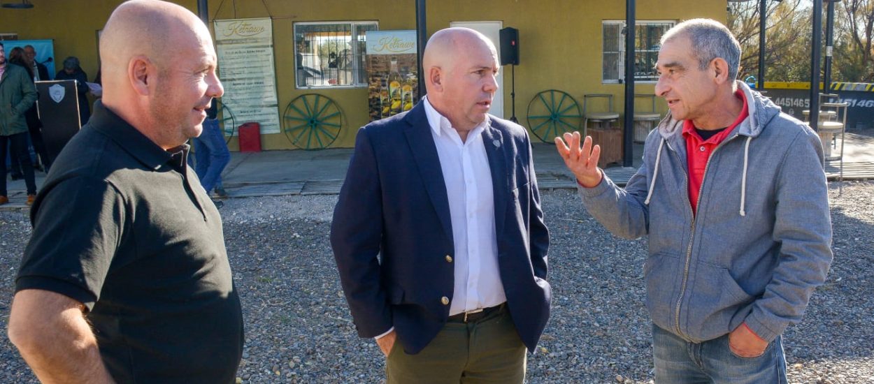 EL VICEGOBERNADOR Y EL INTENDENTE ESTUVIERON EN EL INICIO DE LA COSECHA DE ACEITUNAS DE LA FINCA “LOS OLIVARES”
