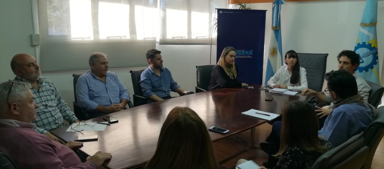 EL GOBIERNO DEL CHUBUT JUNTO AL CFI BUSCA FLEXIBILIZAR EL ACCESO A LÍNEAS DE CRÉDITOS DE RENOVACIÓN PRODUCTIVA 