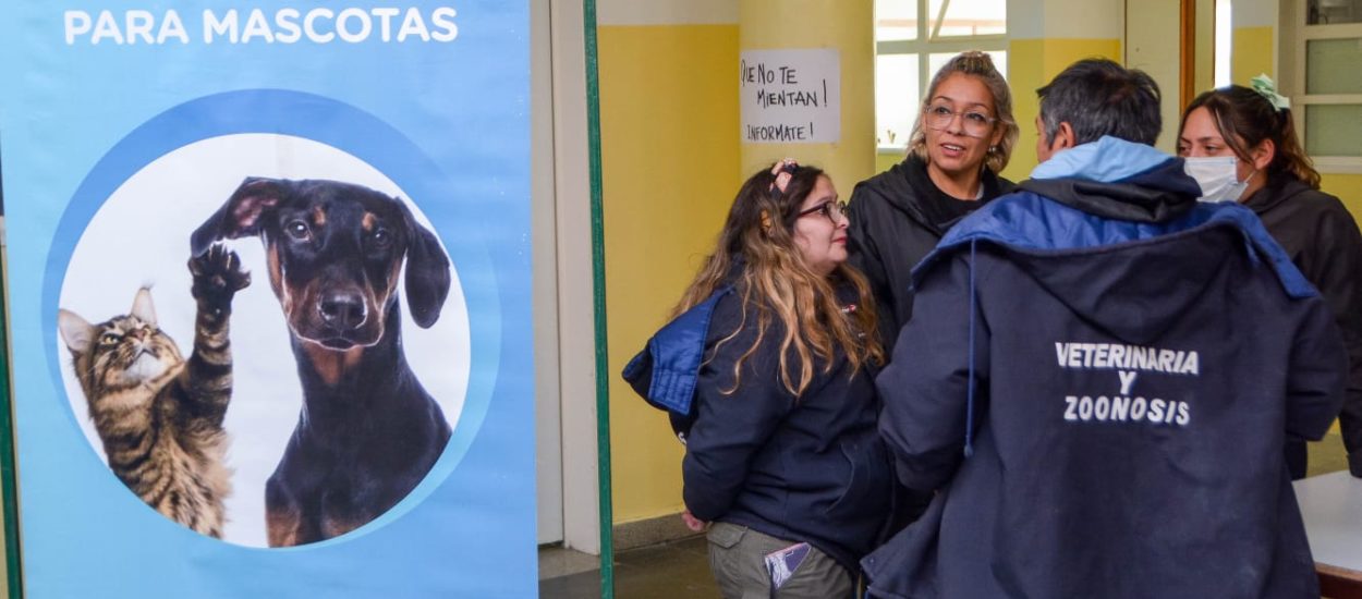 CONTINÚAN LAS CAMPAÑAS GRATUITAS PARA MASCOTAS