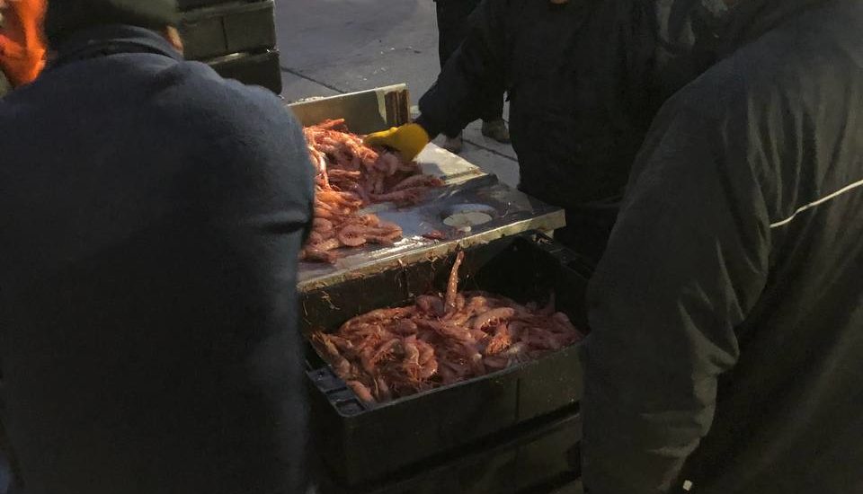 LA DIRECCIÓN NACIONAL DE COORDINACIÓN Y FISCALIZACIÓN PESQUERA LOGRA FISCALIZAR EL 100% DELAS DESCARGAS DE LANGOSTINO