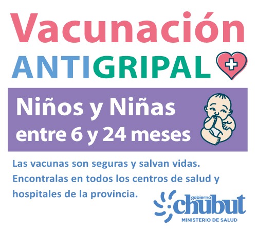 CHUBUT PIDIÓ A LAS FAMILIAS QUE REFUERCEN LA VACUNACIÓN ANTIGRIPAL DE NIÑOS Y NIÑAS DE 6 A 24 MESES