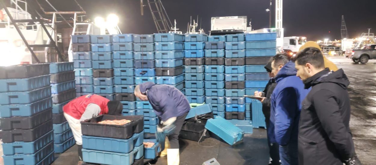 La Dirección Nacional de Coordinación y Fiscalización Pesquera está presente en Chubut fiscalizando las descargas de langostino en el Área de Veda Permanente de Juveniles de Merluza.