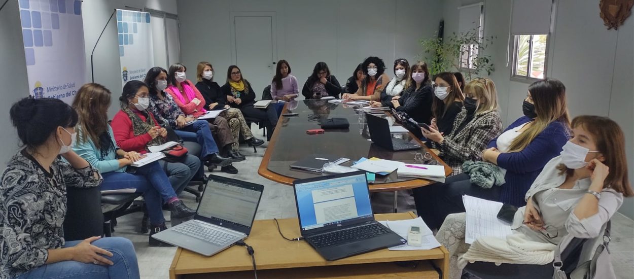 Chubut trabaja en la correcta implementación de la Ley de los 1.000 Días 