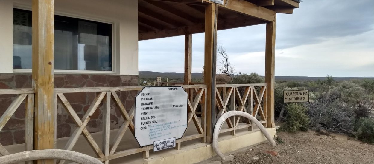 El Gobierno del Chubut llama a licitación para la ampliación y refacción del Área Natural Protegida Punta Loma