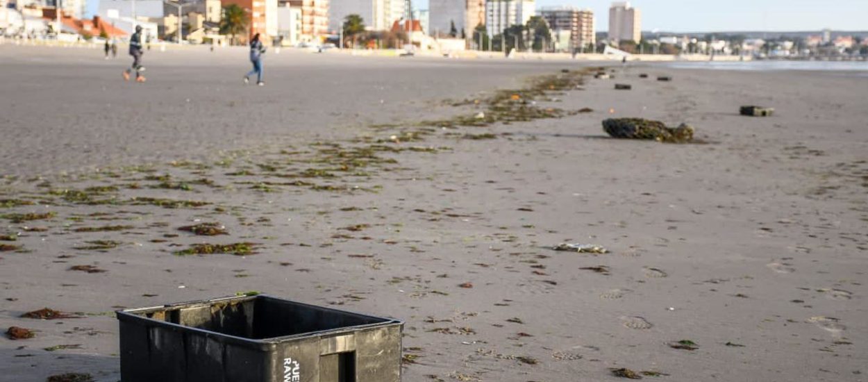 EL MUNICIPIO EMITIÓ UN INFORME AL MINISTERIO DE AMBIENTE DE CHUBUT POR LA APARICIÓN DE RESIDUOS DE BARCOS DE RAWSON EN LAS PLAYAS DE MADRYN