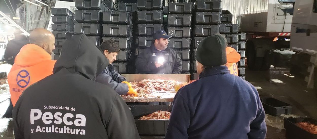 La subsecretaría de Pesca y Acuicultura reporta 5.014,87 toneladas de langostinos descargados en la semana del 5 al 11 de agosto en la zafra dentro del Área de Veda Permanente de Juveniles de Merluza