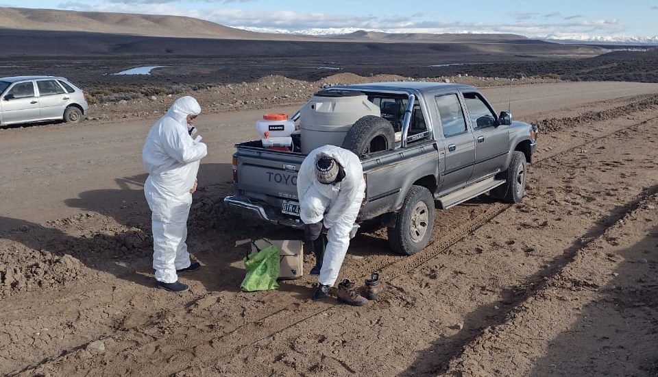 El Gobierno provincial continúa trabajando en la prevención de tucura sapo