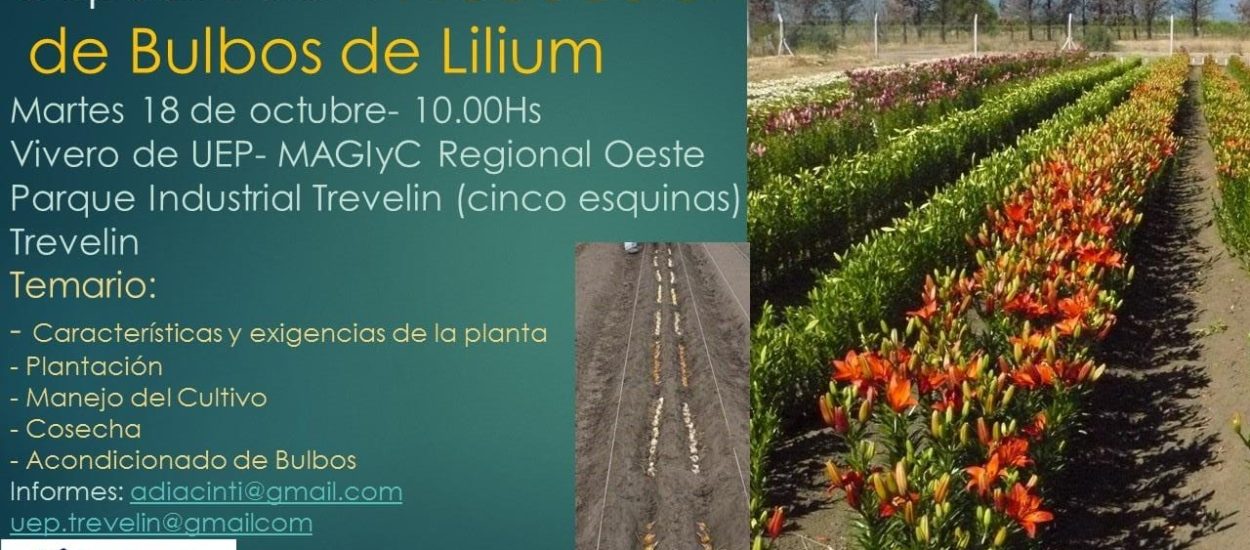 El Gobierno Provincial dicta capacitación para producir bulbos de lilium