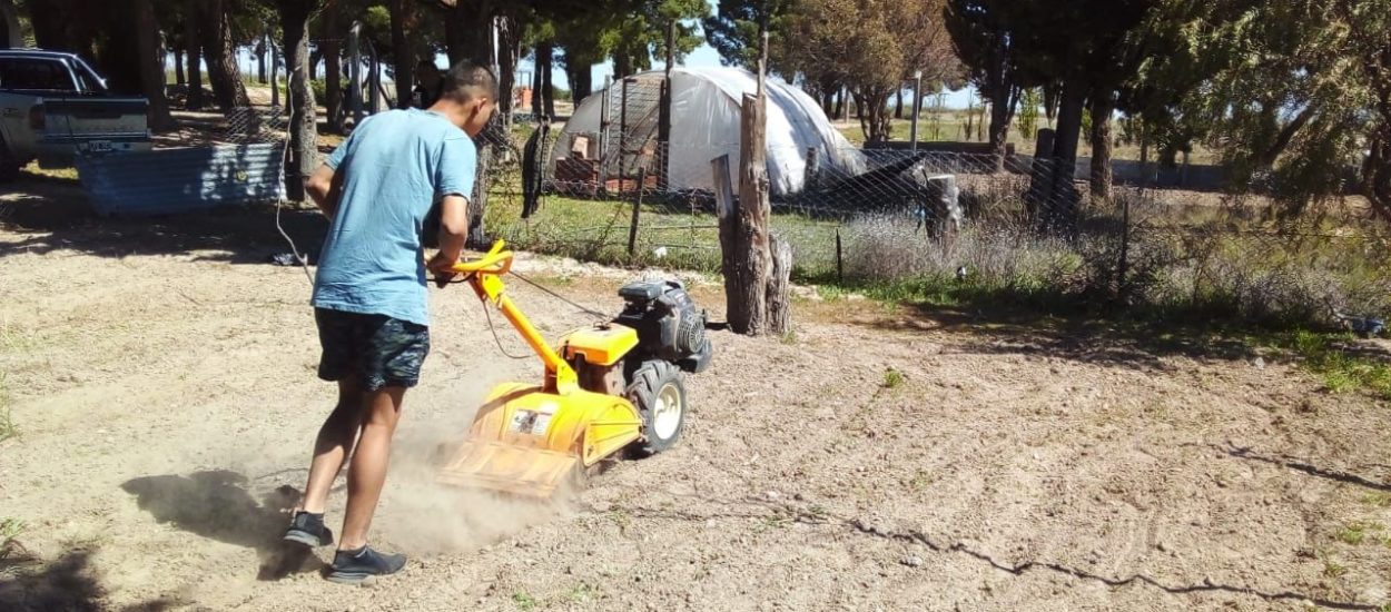 El Gobierno Provincial comenzó con capacitaciones en huerta y cultivo en el COSE de Trelew