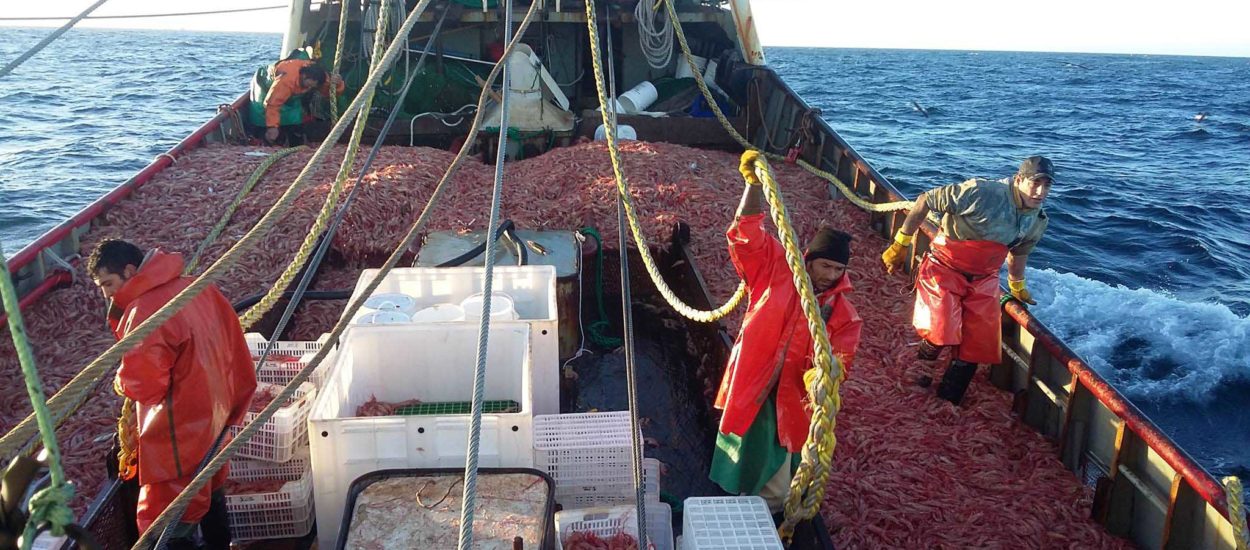 Chubut expone su producción pesquera en uno de los eventos más importantes de la industria a nivel mundial