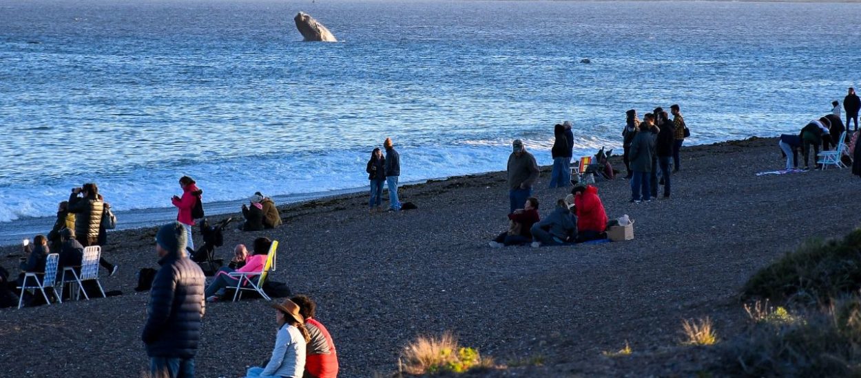 FIN DE SEMANA LARGO EN PUERTO MADRYN: CON OCUPACIÓN PLENA, EL TURISMO GENERÓ UN MOVIMIENTO ECONÓMICO SUPERIOR A LOS $500 MILLONES