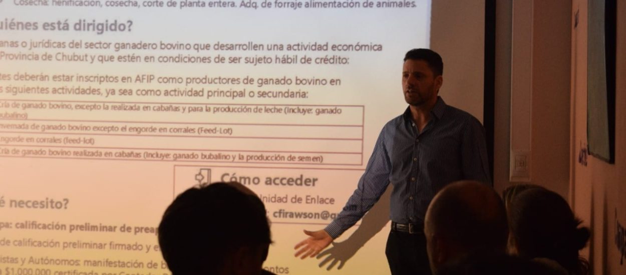 El Gobierno brindó una charla sobre asistencia financiera a productores ganaderos bovinos del VIRCh