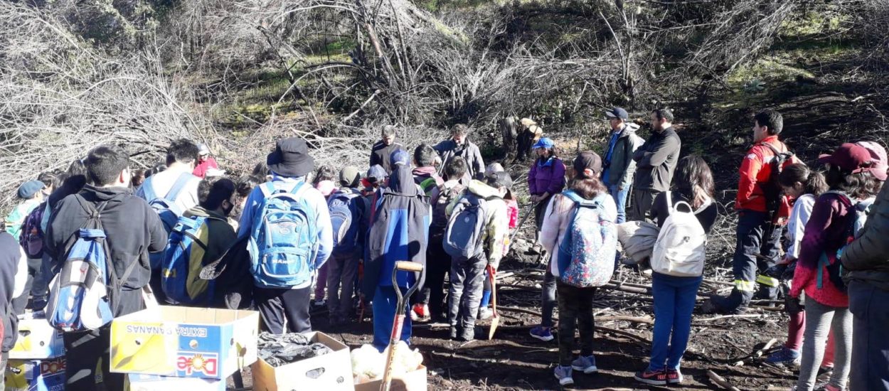 Provincia realiza actividades sobre la adhesión al programa de Restauración de Áreas Degradadas del Bosque Nativo 