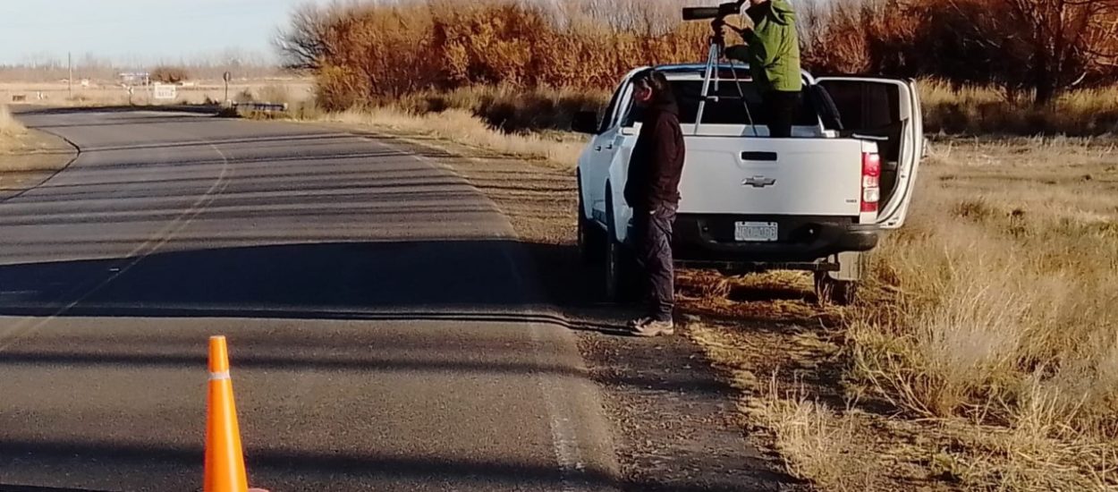 El Gobierno del Chubut realiza censo de cauquenes