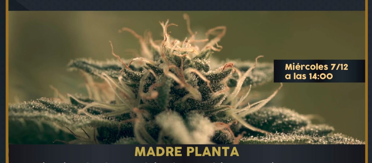 Proyectarán en el CENPAT el documental “Madre Planta”