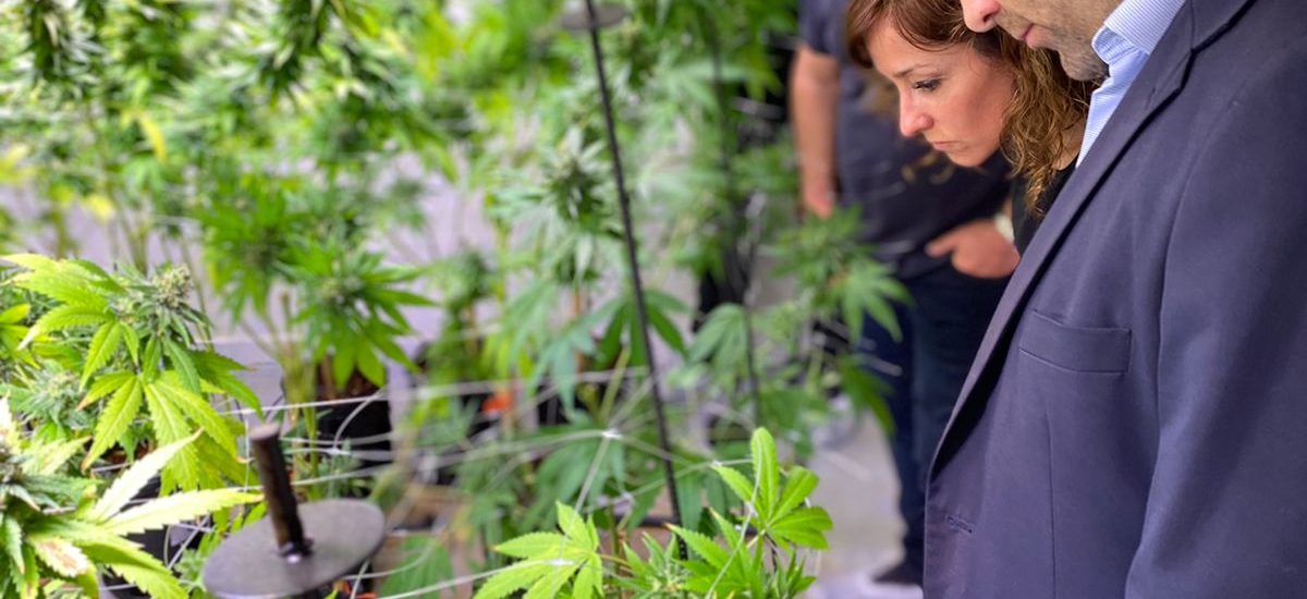 Puerto Madryn: Cavaco recorrió el predio de la empresa especializada en la producción y distribución de derivados de cannabis medicinal