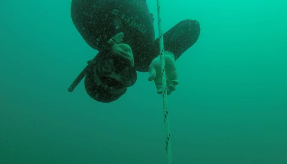 LA ESCUELA MUNICIPAL DE BUCEO “MALEVO MEDINA” COMPETIRÁ EN BAHÍA BLANCA