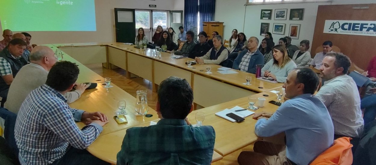 Chubut conformó el Consejo Consultivo Provincial para proyectos de financiamiento del Fondo Verde del Clima