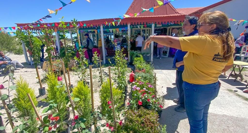 VARIEDAD DE FERIAS EN EL PARADOR MUNICIPAL