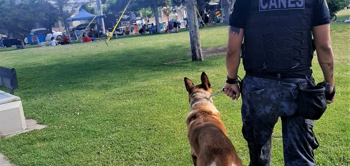 La Policía del Chubut detuvo a 19 personas y evitó robos a vehículos en el Valle Inferior del Río Chubut