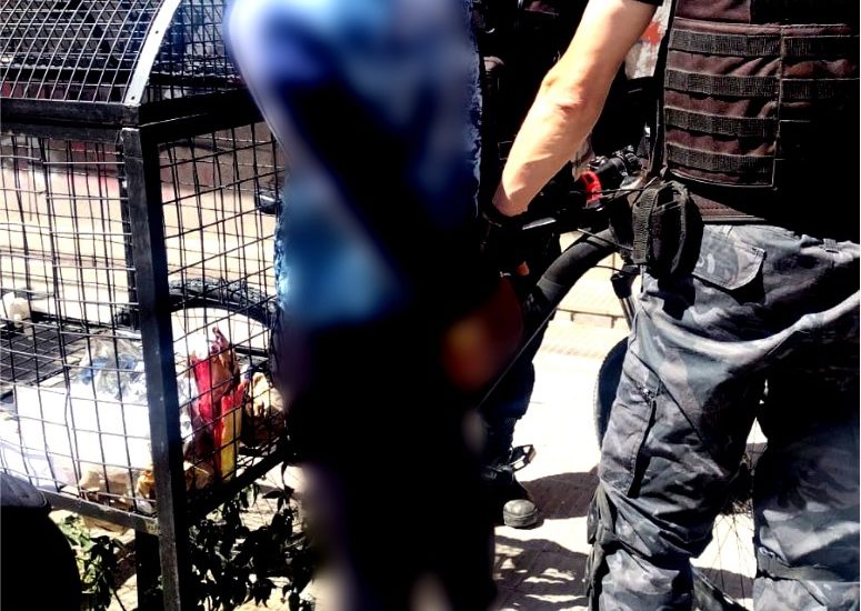 Seguridad: 17 personas detenidas y armas secuestradas durante los operativos del fin de semana en el Valle Inferior del Río Chubut