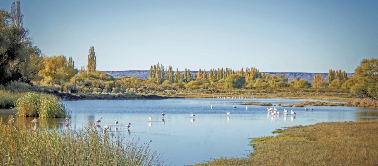 Provincia continúa trabajando en el programa “Retratando Chubut” que busca potenciar la promoción turística