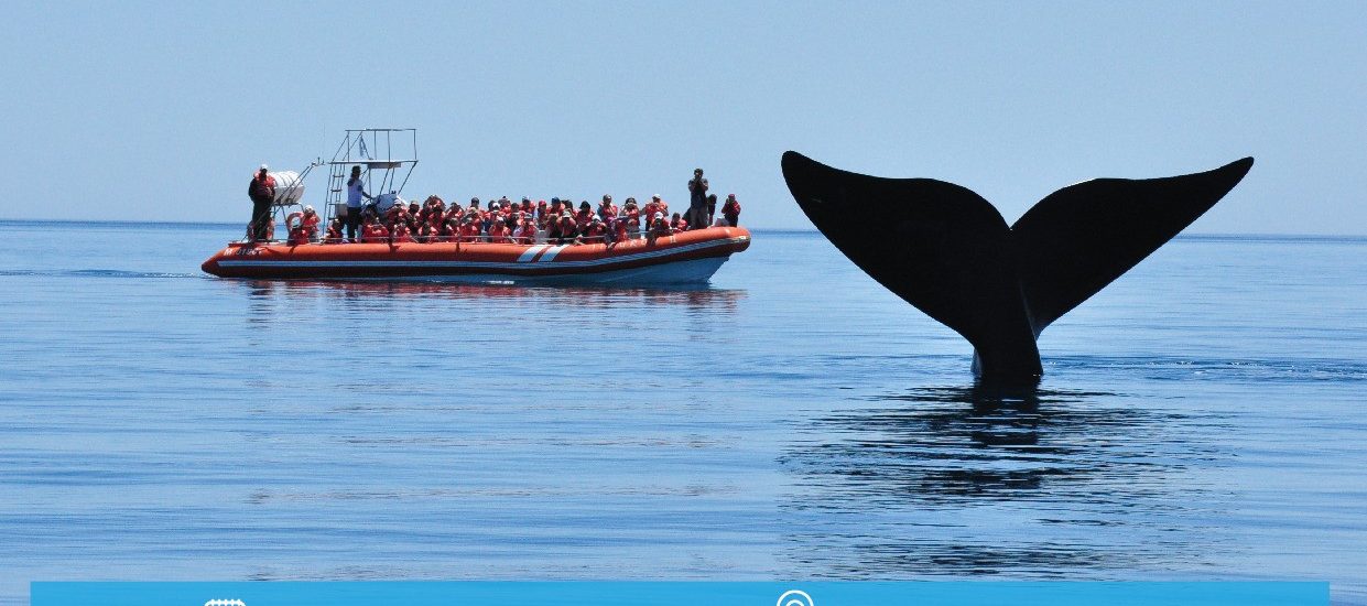 Chubut potencia sus destinos turísticos en encuentro comercial desarrollado en Portugal