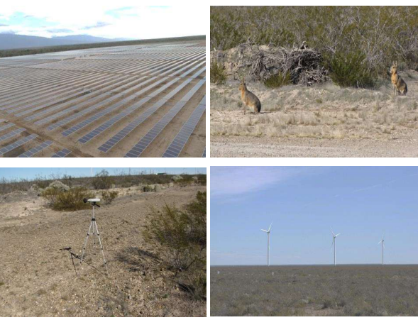 Ambiente convoca a Audiencia Pública por el “Parque Solar ALUAR”