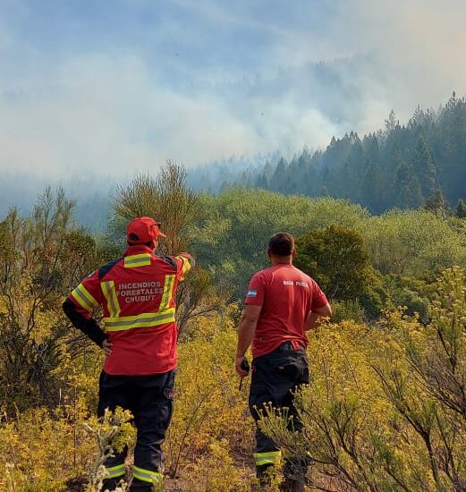 Provincia refuerza el despliegue de brigadistas y medios aéreos para controlar incendio en El Pedregoso