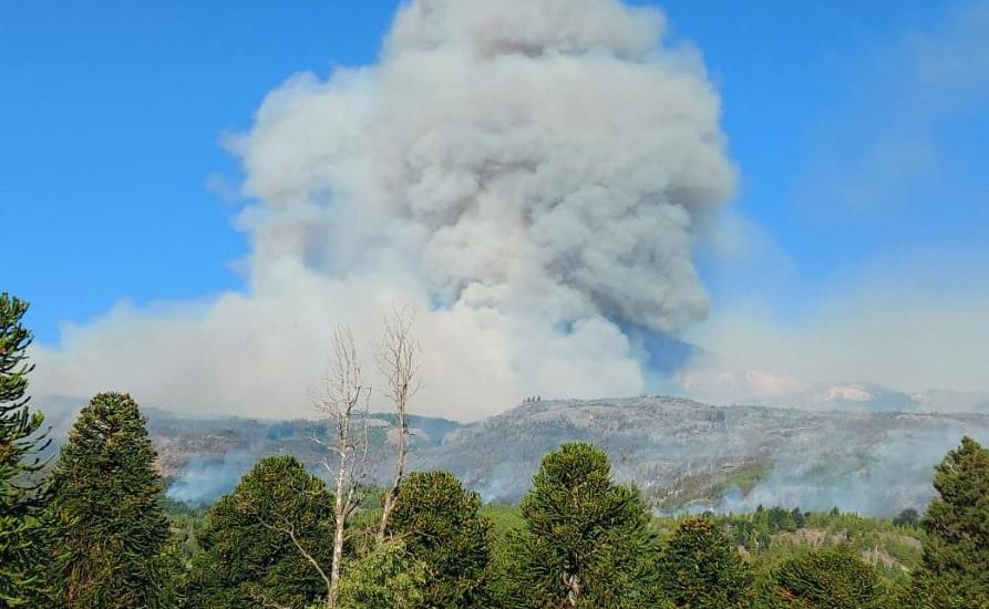 Continúa el intenso despliegue de brigadistas y medios aéreos para combatir el incendio en cercanías del Parque “Los Alerces”