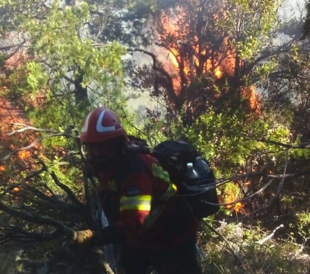 El Gobierno del Chubut ascendió a brigadistas del Servicio Provincial de Manejo del Fuego