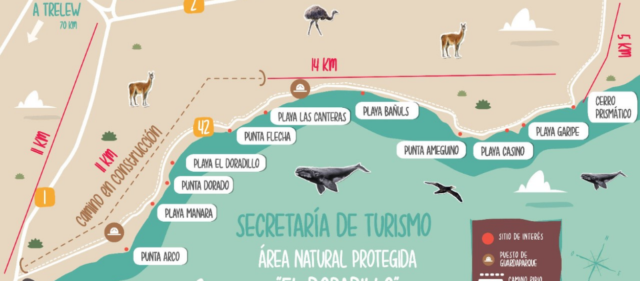 EL PRIMERO DE MARZO SE CORTARÁ EL ACCESO TRADICIONAL AL ANP “EL DORADILLO” PARA SU PAVIMENTACION