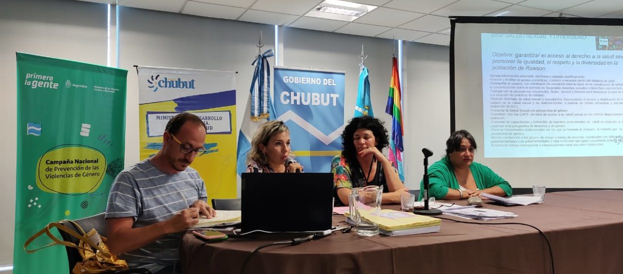 Salud participó del “Consejo Provincial de Diversidad, Géneros y Mujeres”