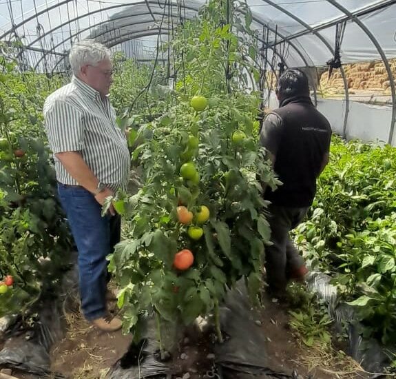 PROAF Chubut: Avanza la producción de plantines de hortalizas en Sarmiento