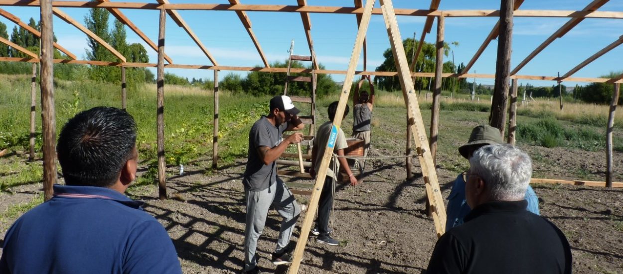 Con aportes del Gobierno Provincial, cooperativa de Gaiman construye su invernáculo