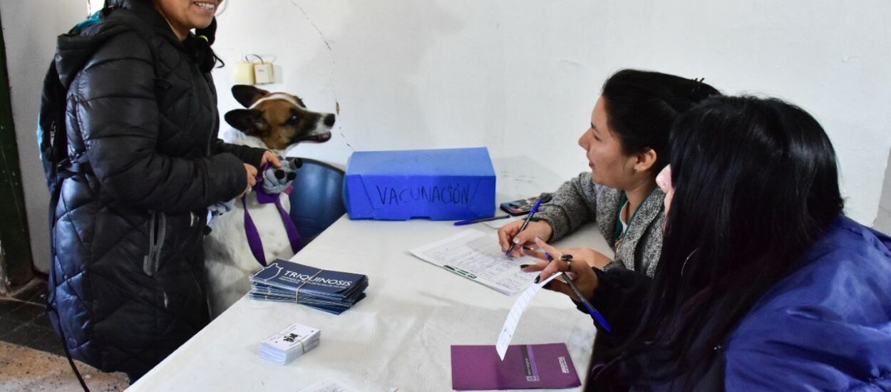 CONTINÚAN LAS CAMPAÑAS GRATUITAS PARA MASCOTAS