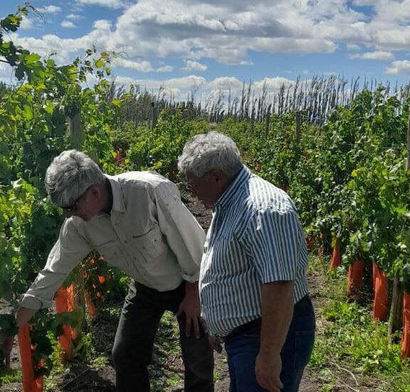 Provincia recorrió emprendimientos vitivinícolas en Sarmiento con la intención de seguir potenciando la producción 