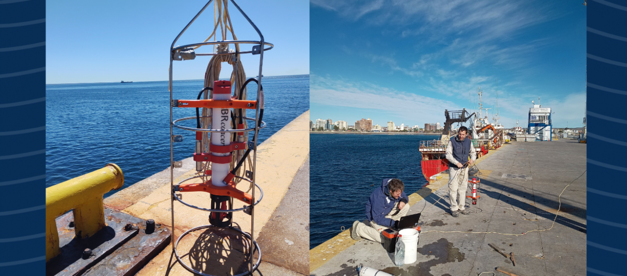 La temperatura del mar en Puerto Madryn alcanzó el registro más alto de los últimos 17 años