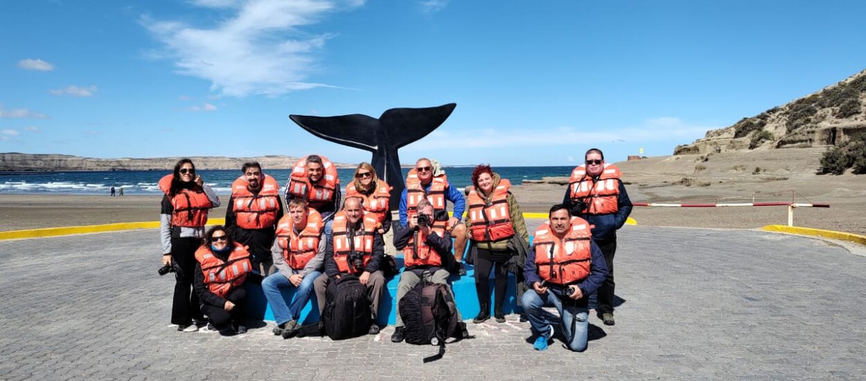 Comenzó en Chubut la Temporada de Orcas 2023 con una amplia agenda de actividades 