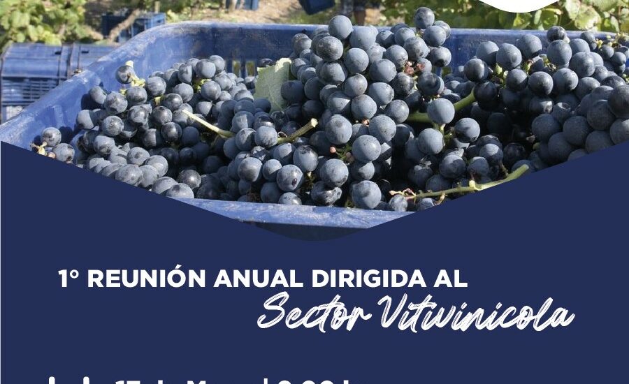 Provincia convoca a la primera reunión anual del sector vitivinícola