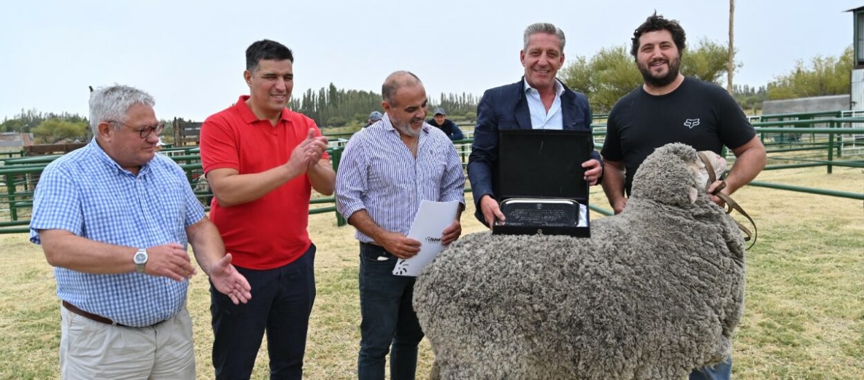 Arcioni recorrió la tradicional Exposición Agrícola y de Carnero a Campo en Sarmiento y entregó un aporte económico 