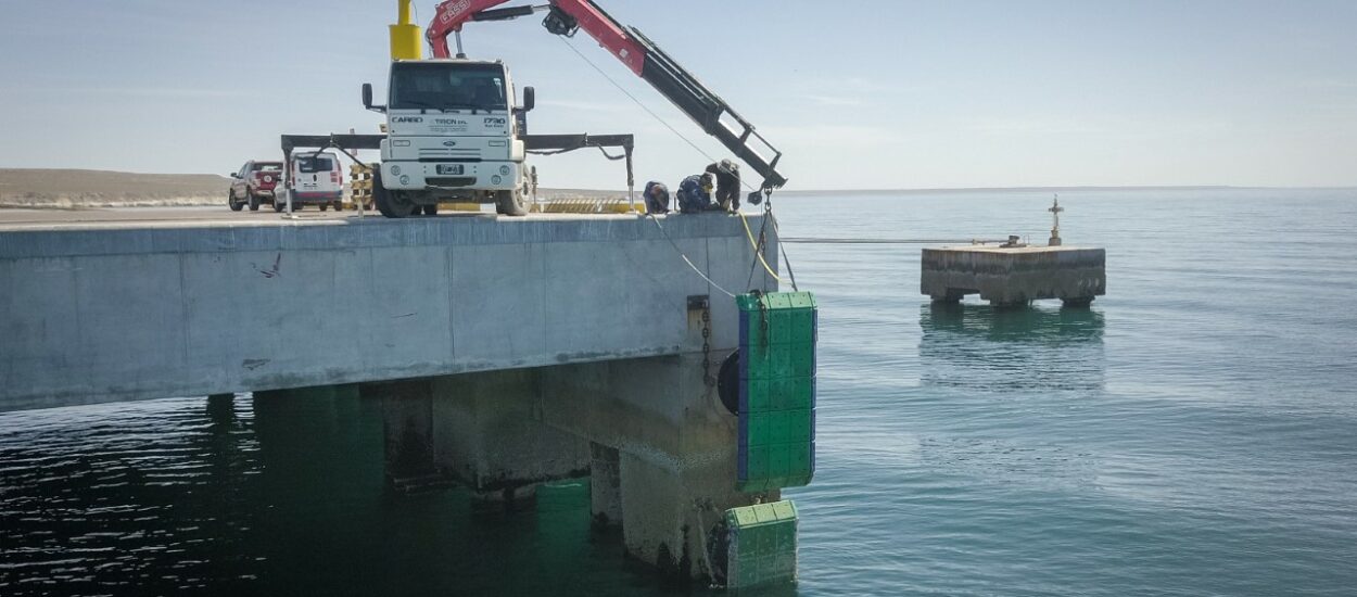Avanza a buen ritmo el plan de obras de la Administración Portuaria de Puerto Madryn