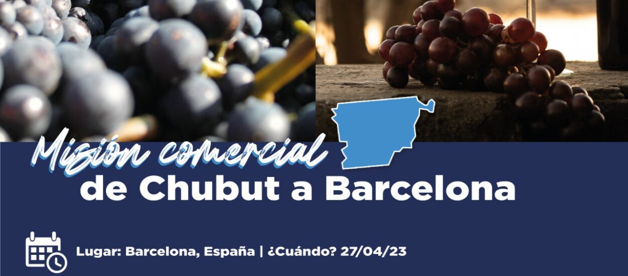 Provincia convoca a productores vitivinícolas a misión comercial a Barcelona 