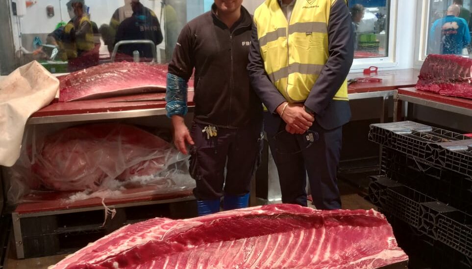 Provincia visitó el mayor mercado de productos frescos de Europa y estudia replicar exitoso modelo pesquero en Chubut