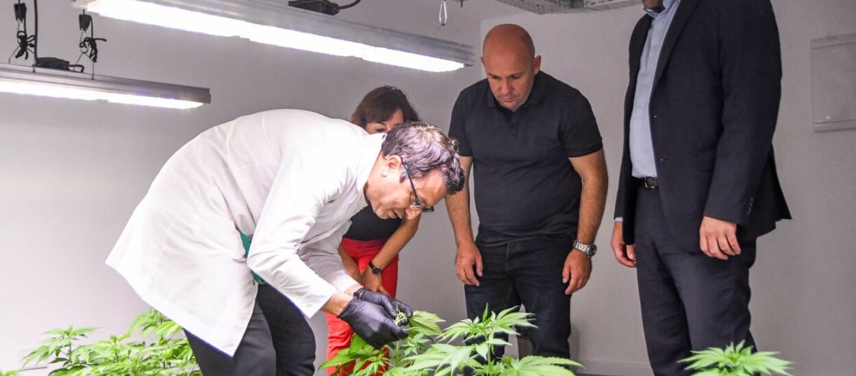 EL INTENDENTE ESTUVO EN LA INAUGURACIÓN DE “WHALE LEAF FARM”, EMPRESA QUE PRODUCE Y DISTRIBUYE DERIVADOS DE CANNABIS MEDICINAL