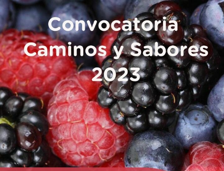 El Gobierno convoca a productores chubutenses a participar de la Feria Caminos y Sabores, buscando aumentar la promoción de sus productos